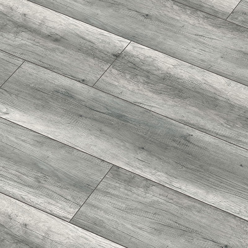 arteo_dakar_tolgy_800x800_1