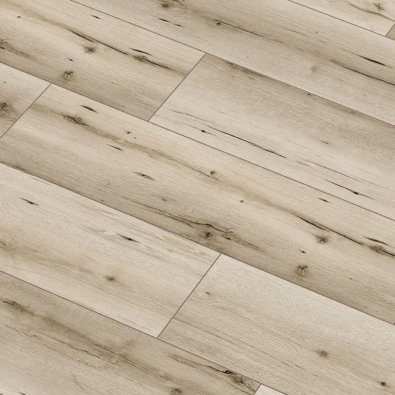 arteo_galapagos_tolgy_800x800_1