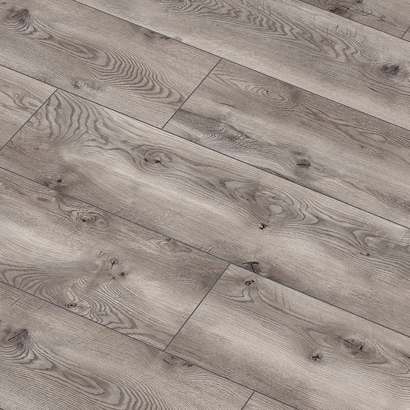 arteo_monte_carlo_tolgy_800x800_1