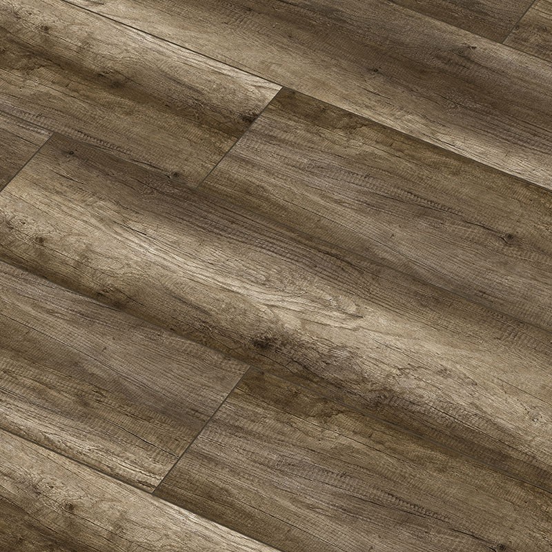 arteo_rodellar_tolgy_800x800_1