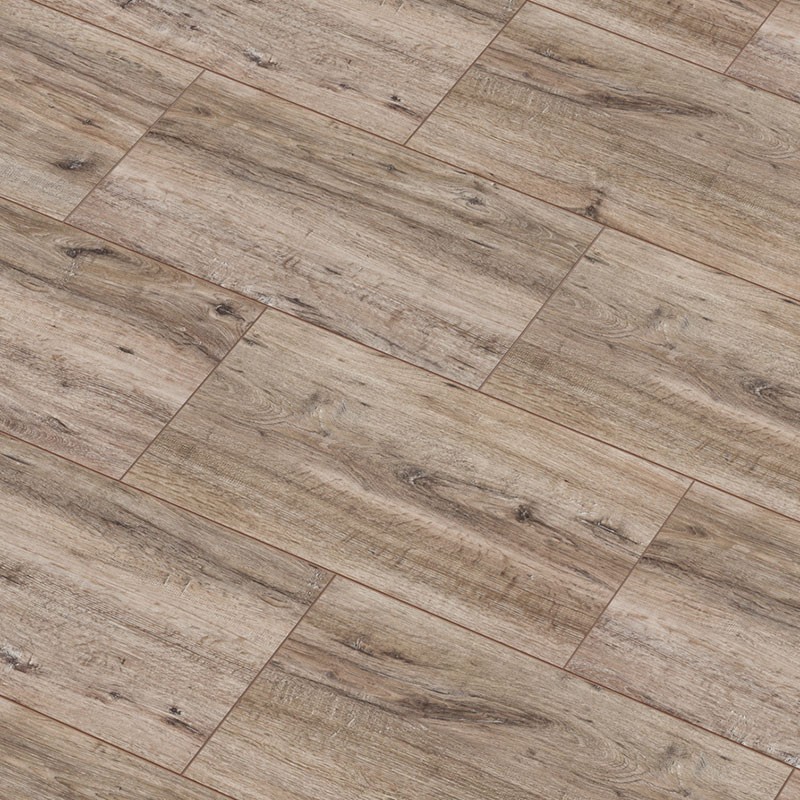 arteo_saguaro_tolgy_800x800_1